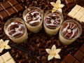 10 oz. Chocolate or Vanilla Donut Candles